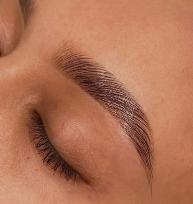 Professional brow lamination and tint Orange County - Eyebrow shaping styling service OC salon
